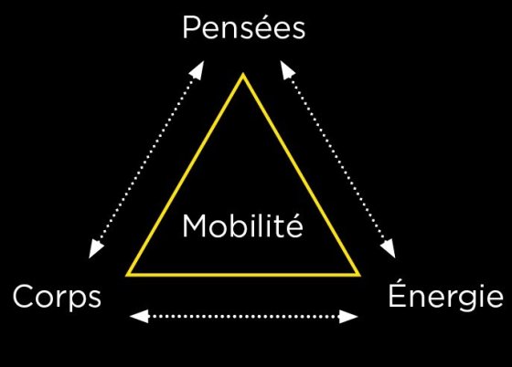 Concept O.P.O n°1 : Le Triangle des mobilités